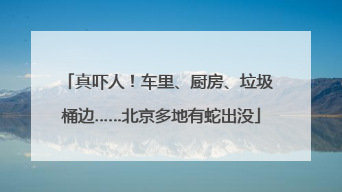 真吓人！车里、厨房、垃圾桶边……北京多地有蛇出没